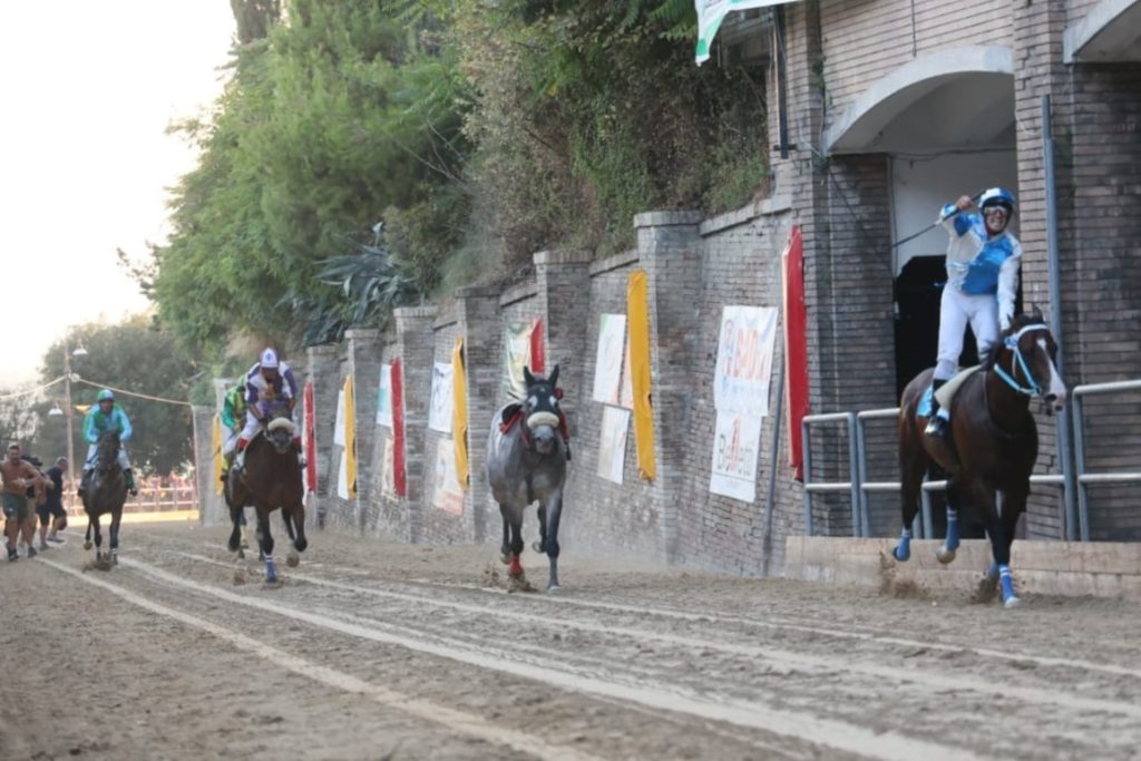 Svelati i nomi dei 10 cavalli che correranno il Palio dell’Assunta