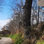 Strada abbandonata a Gabbiano, i residenti chiedono al sindaco di Fermo l'asfaltatura completa